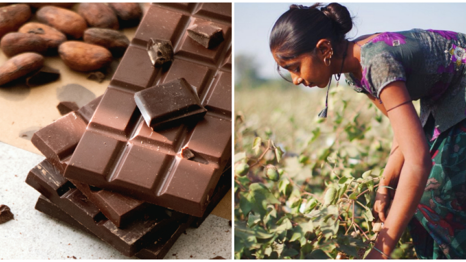 Fairtrade čokoláda 