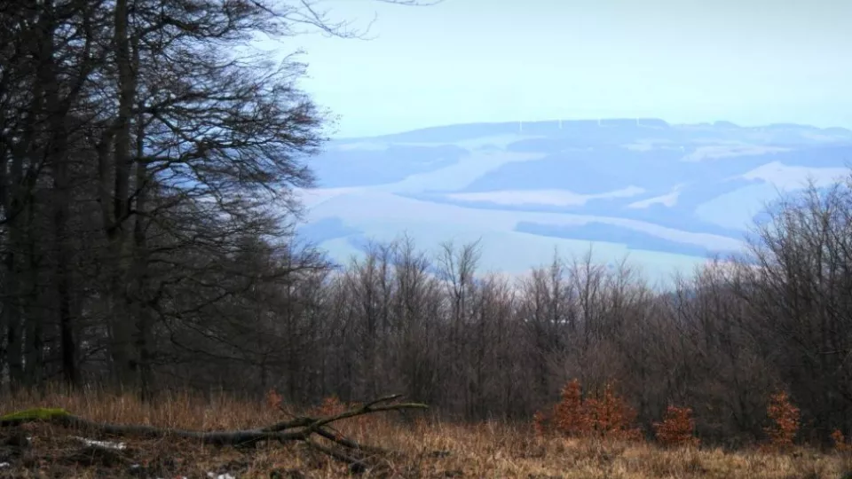 Pohľad na Malé Karpaty