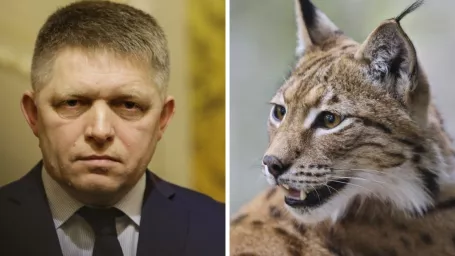 Na kombosnímke premiér Robert Fico a rys ostrovid.