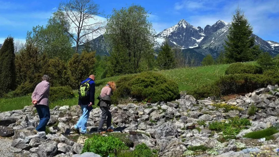 Na archívnej snímke turisti obdivujú kvety na skalke v Expozícii tatranskej prírody - botanickej záhrady Štátnych lesov Tatranského národného parku.