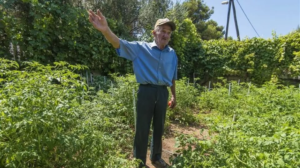 Tomislav Rosan vo svojej záhrade v chorvátskom mestečku Pakoštane.