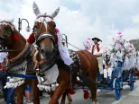 Na snímke konský vozový sprievod v rámci 56. ročníka medzinárodného folklórneho festivalu Jánošíkove dni v Terchovej 5. augusta 2018. 