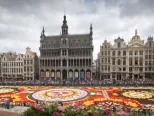 Na snímke obrovský kvetinový koberec na bruselskom námestí Grand Place uviedli vo štvrtok 16. augusta 2018. Viac ako 500 000 kvetov použili na vytvorenie latinskoamerického motívu venovanému mexickej oblasti Guanajuato.