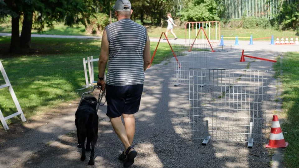 Na snímke tréning dvojíc na umelej prekážkovej dráhe v Mestskom parku v Nitre 22. augusta 2018.