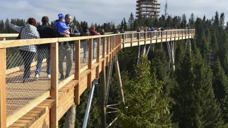 Na snímke Chodník korunami stromov v Bachledovej doline neďaleko obce Ždiar v okrese Poprad.