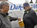 Deň narcisov, archívne foto.