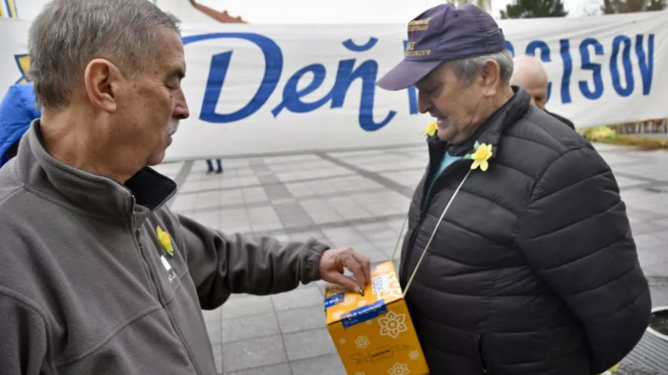 Deň narcisov, archívne foto.