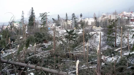 Tatry po víchrici