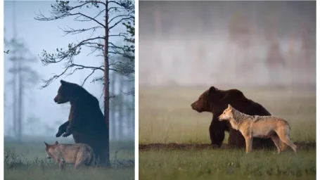 Nezvyčajné duo.