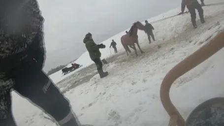 Až 11 koní uviazlo v zamrznutej rieke. Títo muži im obetavo pomohli