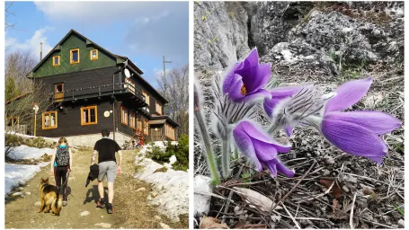 Ochranári pripomínajú, ako sa máme správať v prírode