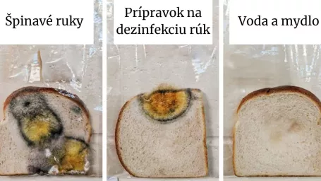 Výsledok experimentu