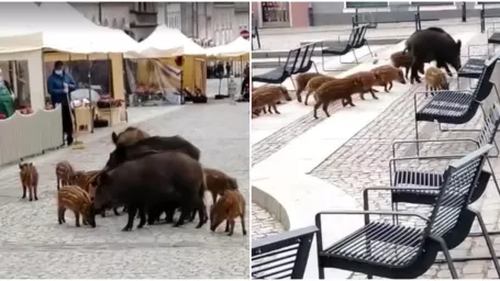 Poľské mestečko zažilo neobyčajnú návštevu.