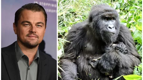 Fond založila environmentálna organizácia DiCaprio Earth Alliance spolu s Emerson Collective, Global Wildlife Conservation a Európskou úniou.