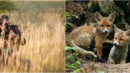 Vďaka jeho trpezlivosti, záujmu o prírodu a bystrému oku si môžete vychutnať jeho fascinujúce videá zo sveta zvierat.