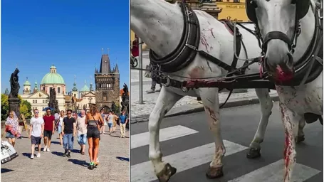 Prechádzka centrom Prahy v kočiari ťahaným koňmi bude už čoskoro možno minulosťou.