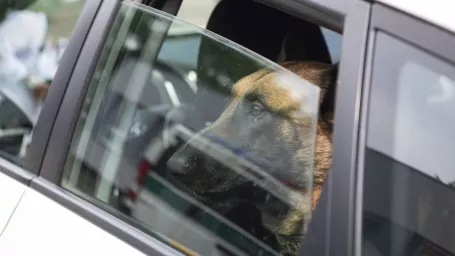 Na snímke ukážka zabudnutého psa v aute počas tlačovej konferencie Prezídia Policajného zboru (PPZ) SR k uvedeniu 3. ročníka projektu Nezabudni na mňa v aute