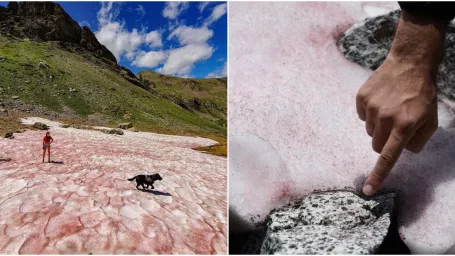 V talianskych Alpách sa mení sneh na ružovo.