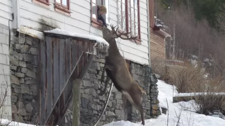 Nezvyčajne priateľstvo.