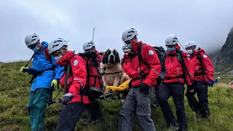 Tím šestnástich záchrancov zniesol bernardínku Daisy zo Scafell Pike, najvyššej hory Anglicka.