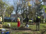 Na snímke prvé jesenné sadenie stromov v rámci projektu 10 000 stromov v bratislavskej Rači