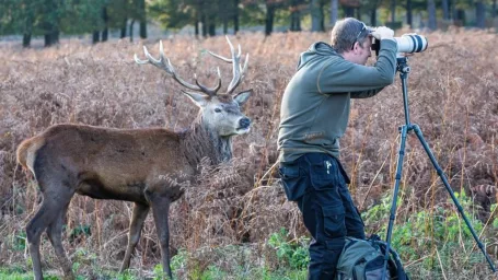 Tento jedinečný záber si všimol Roger Clark, ďalší fotograf divokej prírody. 