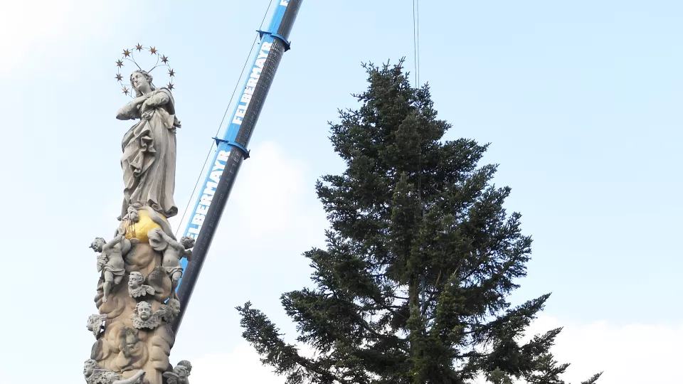 Vianočný strom osadili na Hlavnej ulici v Košiciach pri súsoší Immaculata.