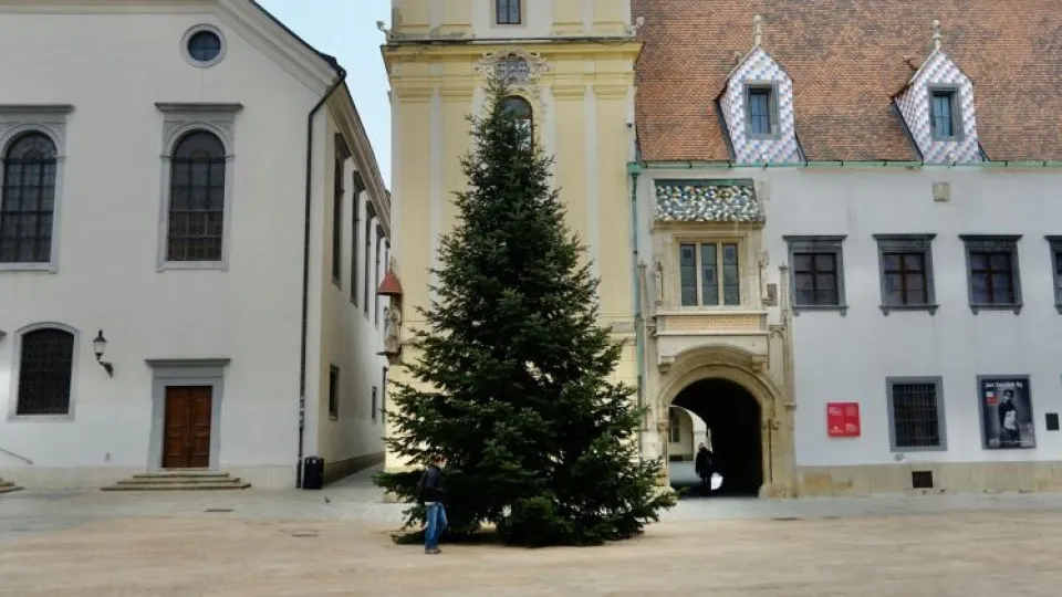 Bratislavský vianočný stromček