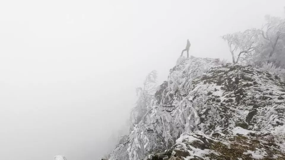 Na snímke turistka stojí v hmle na vrchole Malých Karpát, Vápenná, ktorý je častokrát nazývaný aj ako Roštún