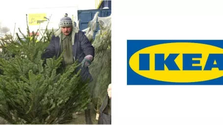 Máte vianočný stromček z IKEA?