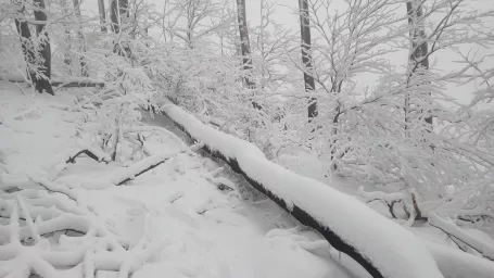 Zasnežené Malé Karpaty