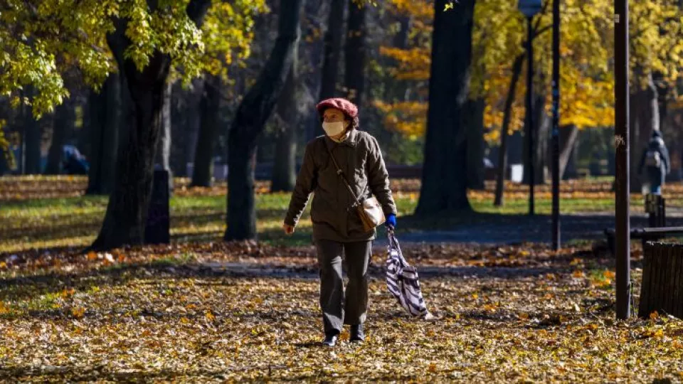 Sad Janka Kráľa v Bratislave