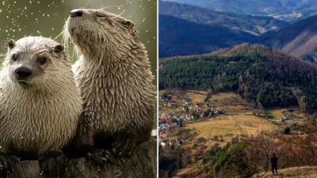 Vľavo vydry riečne, vpravo výhľad z Temešskej skaly