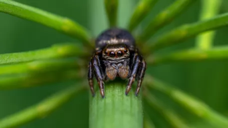 Ilustratívna fotografia