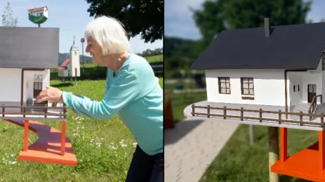 Česká umelkyňa vytvorila vtáčie búdky, ktoré vyzerajú presne ako domy, v ktorých žili seniori z domova dôchodcov.