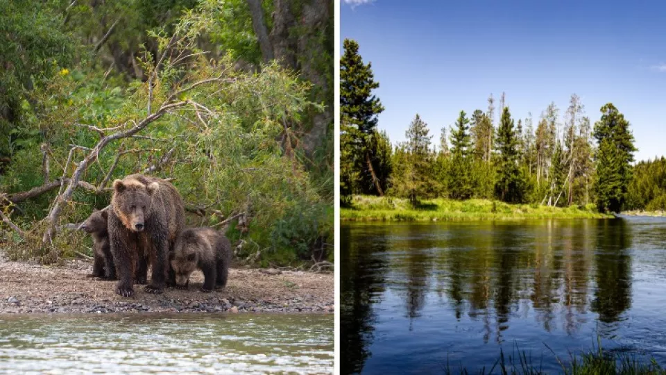 Ilustračné zábery - Národný park Yellowstone