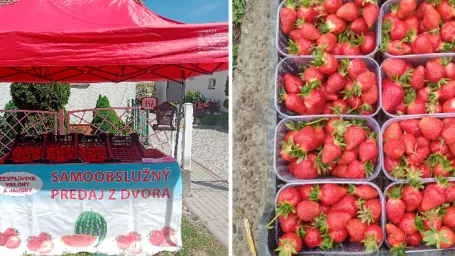 Samoobslužný stánok na Zemplíne