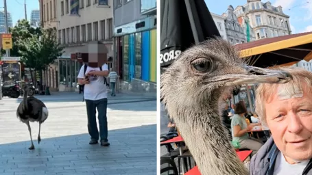 Slovinec Janez Cetin a jeho vták Nande 