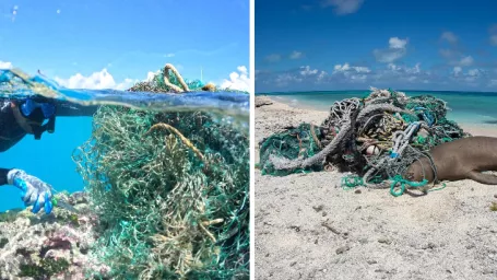 Čistenie koralové útesu pri ostrove Maro Reef