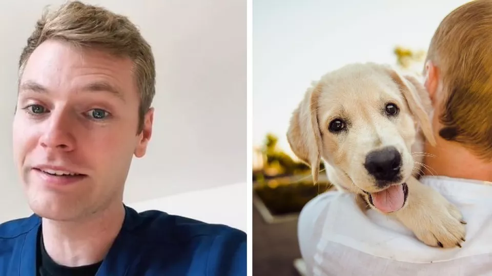 Veterinár Ben by si zaobstaral jedného z týchto psíkov.