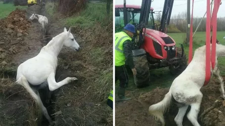 Našťastie, všetko dobre dopadlo.