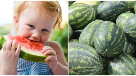 Vedeli ste, že aj šupka z melóna má v sebe množstvo vitamínov?