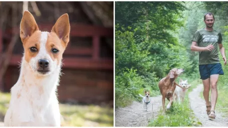 Kanál štvornohej východniarky si obľúbili už desaťtisíce Slovákov.