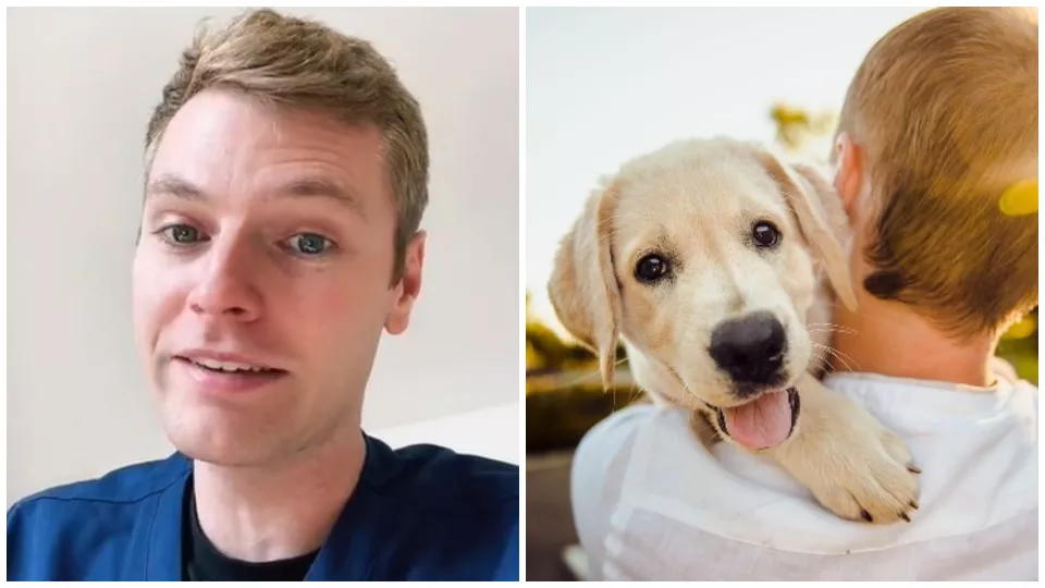 Veterinár Ben by si zaobstaral jedného z týchto psíkov.