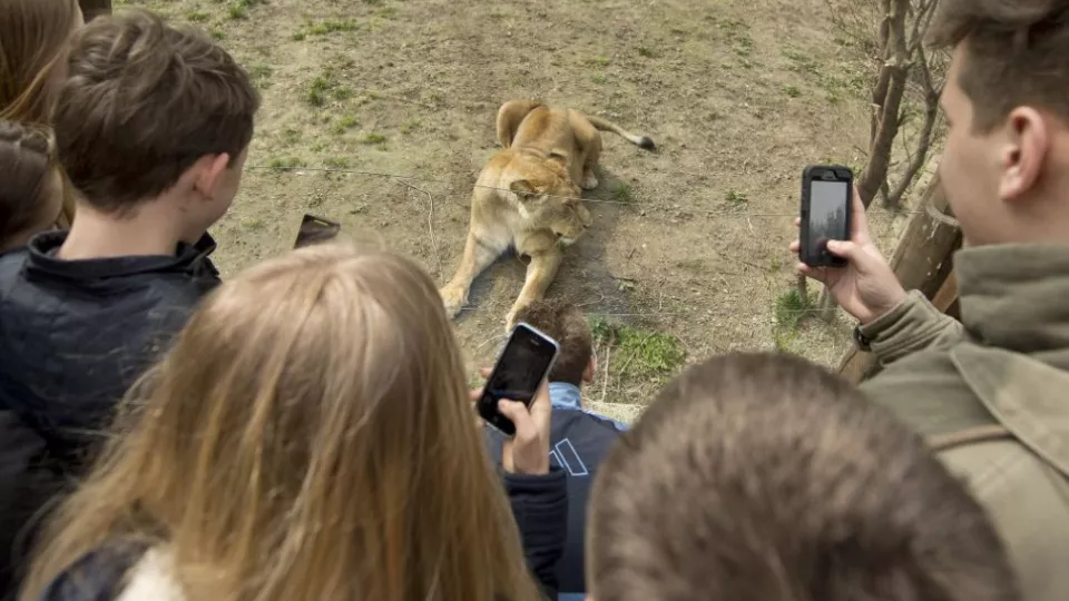 Zoologická záhrada, archívne foto