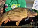 Rybári zo Slovenska, Poľska a Čiech sa opäť stretli na Šírave, aby si už po ôsmy raz zasúťažili počas pretekov Zemplínsky kapor. Do tohto ročníka sa prihlásilo 44 družstiev so 122 členmi. Na snímke členovia tímu CT  Orhtodox carp SK s uloveným kaprom s váhou 20,85 kg. Zemplínska šírava 21.septembra 2016.