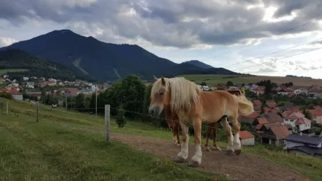 Na snímke obec Závažná Poruba v Liptovskomikulášskom okrese, ležiaca pod majestátnym nízkotatranským vrchom Poludnica.