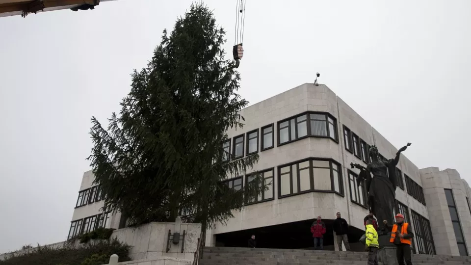 Na snímke osadenie vianočného stromčeka pred budovu Národnej rady (NR) SR v Bratislave 24. novembra 2016. Stromček pochádza z lokality Parina v Horných Orešanoch. Pred parlament ho osadil Štátny podnik Lesy SR. FOTO TASR - Martin Baumann